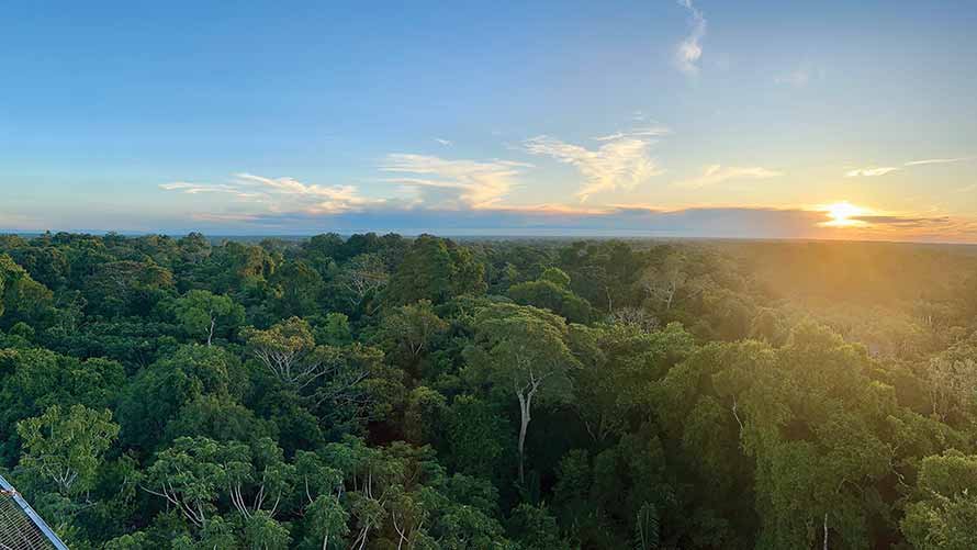 The Peruvian Amazon: A Serene Alternative to Machu Picchu