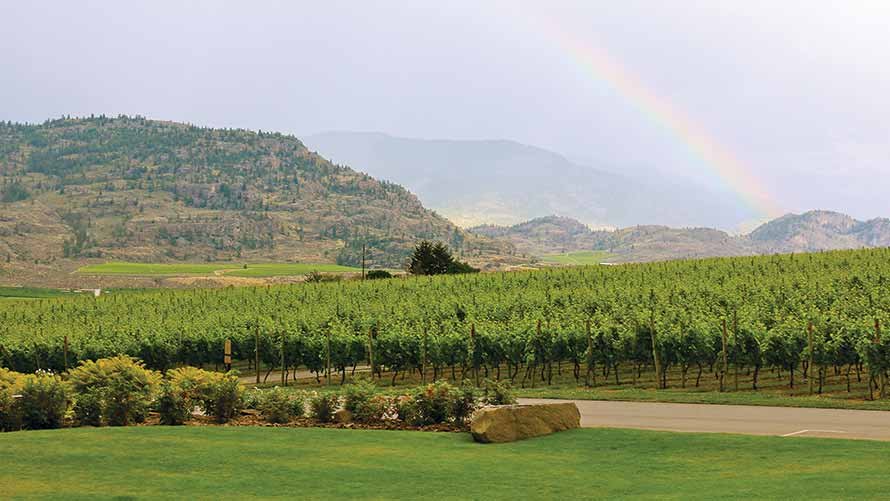 Hester Creek Estate Winery: A Sense of Place